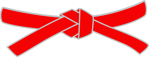 9-10 Dan Belt